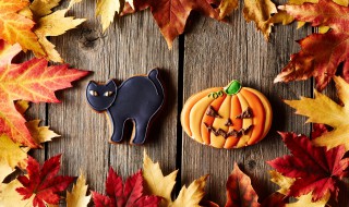 Halloween chat noir citrouille décoration DIY